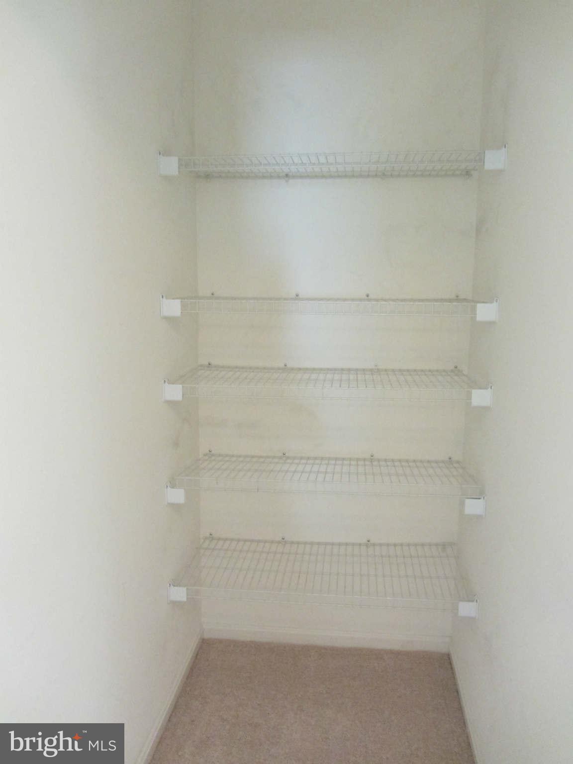 4100 Chardel Road, Unit 1C Baltimore, MD 21236 - Photo 21 of 26 Deep Hall Closet