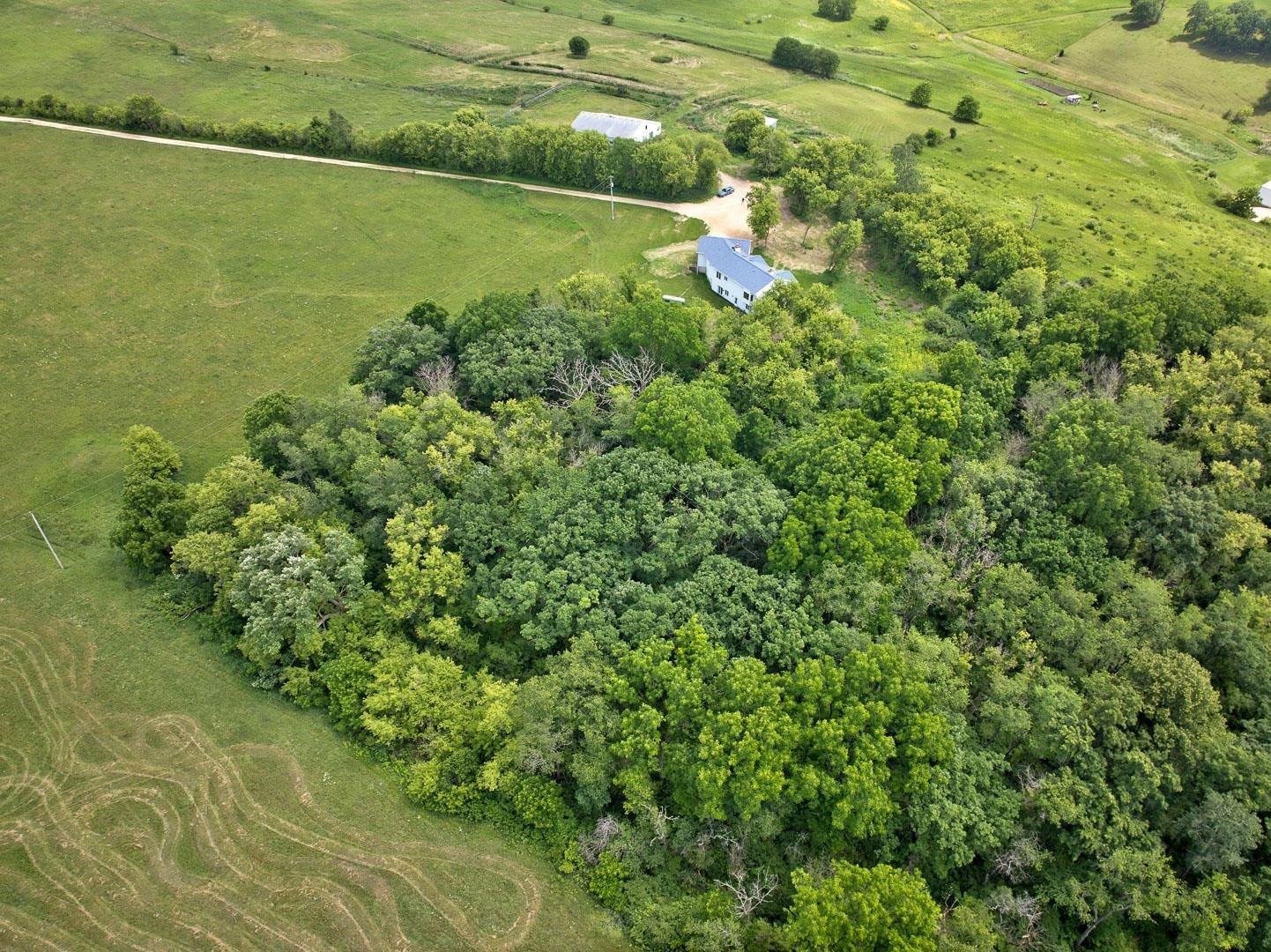847 County Rd Jg Mount Horeb, WI 53572 - Photo 52 of 56
