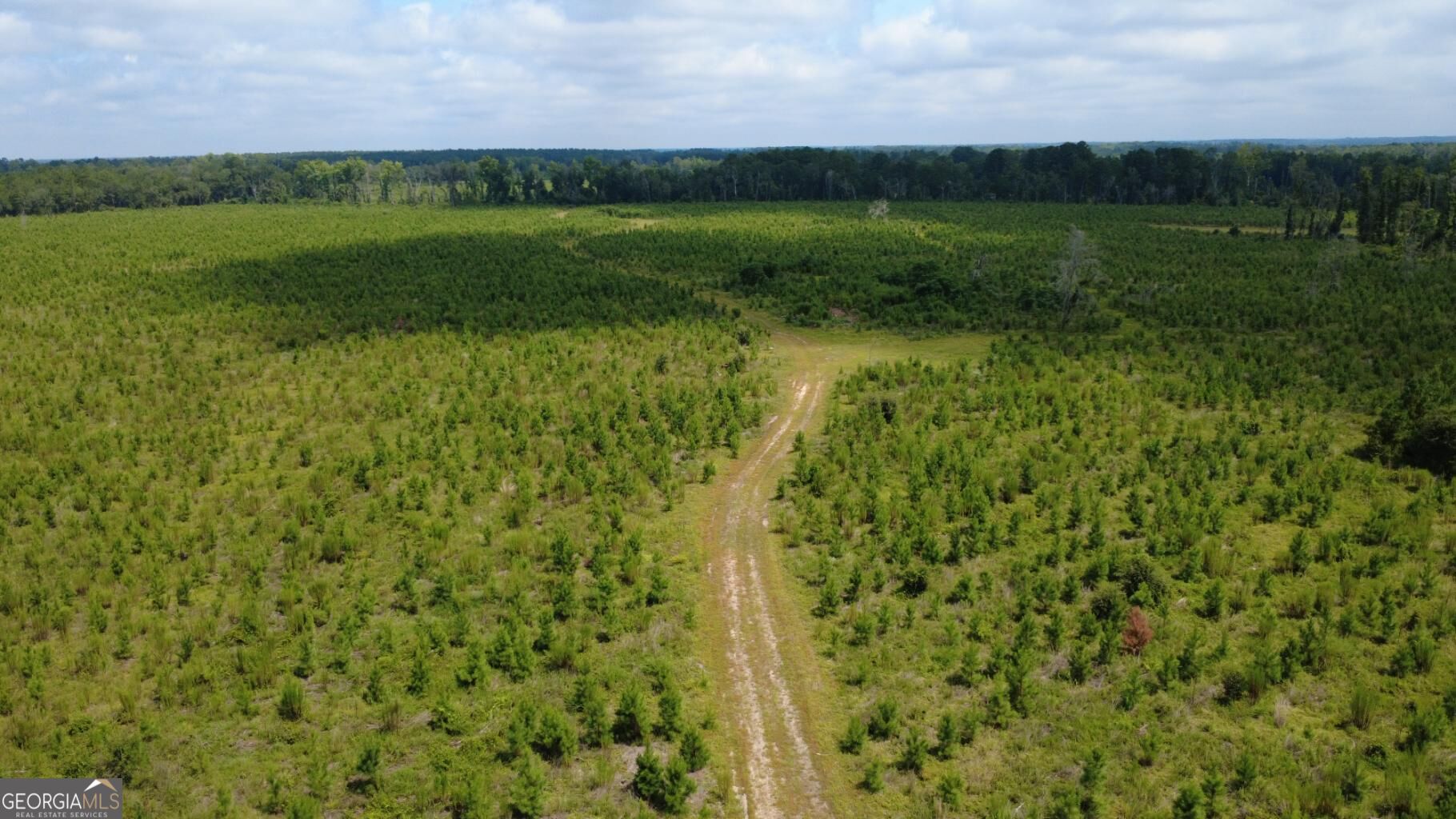 0 Sims Brothers Road Claxton, GA 30417 - Photo 4 of 18 Gallery Image 4