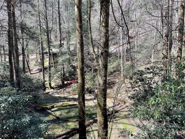 a view of a backyard of the house