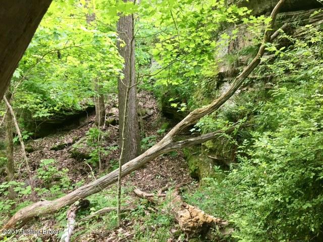 0 Mark Ridge Road Garfield, KY 40140 - Photo 16 of 43 16