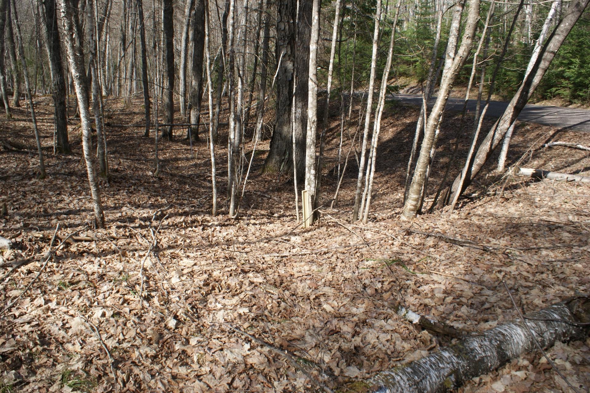 Tbd Tall Timbers Road Presque Isle, WI 54557 - Photo 10 of 16 Gallery Image 10