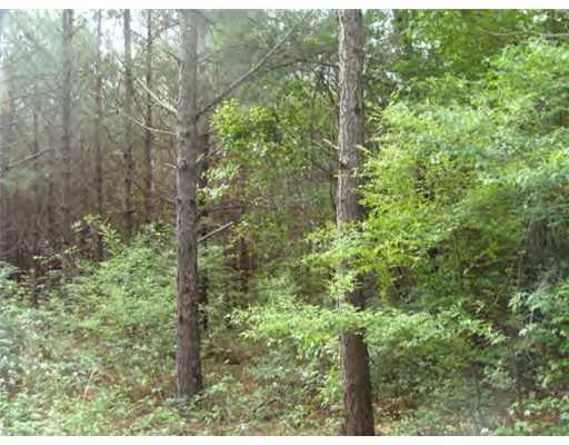 0 Mt Herman Road Monticello, MS 39654 - Photo 4 of 12