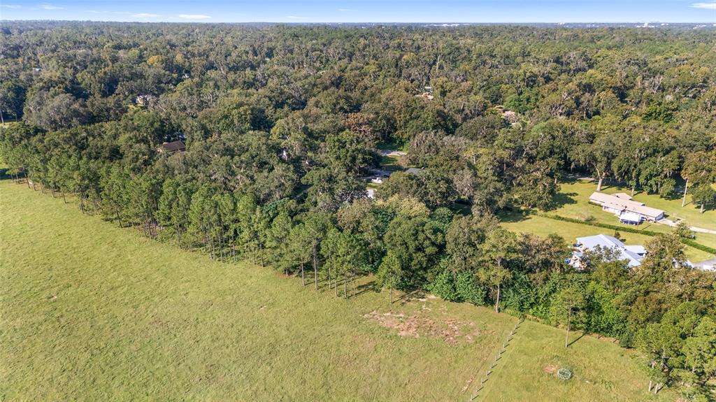 301 Southwest 38th Street Ocala, FL 34471 - Photo 84 of 94