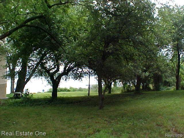 view to lake 1