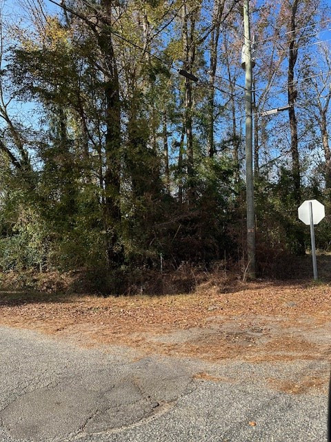 812 Berry Street Sumter, SC 29153 - Photo 3 of 3