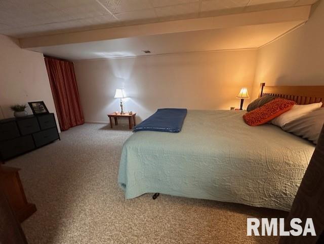 2 Mary Lane Jacksonville, IL 62650 - Photo 33 of 41