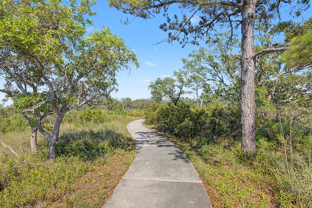 446 Bald Point Road Alligator Point, FL 32346 - Photo 27 of 30