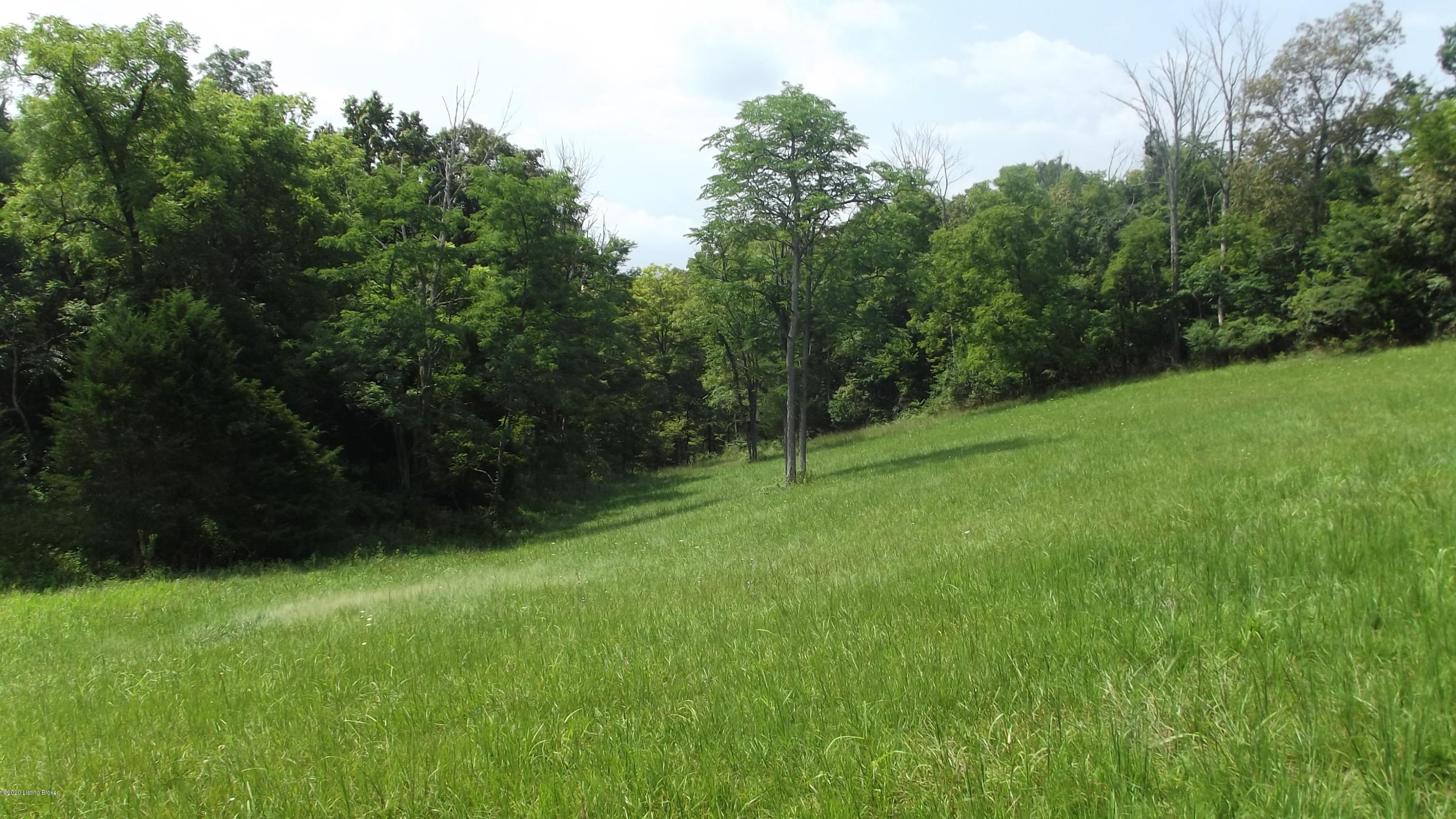 2126 Wright's Ridge Road Milton, KY 40045 - Photo 11 of 38 DSCF6794