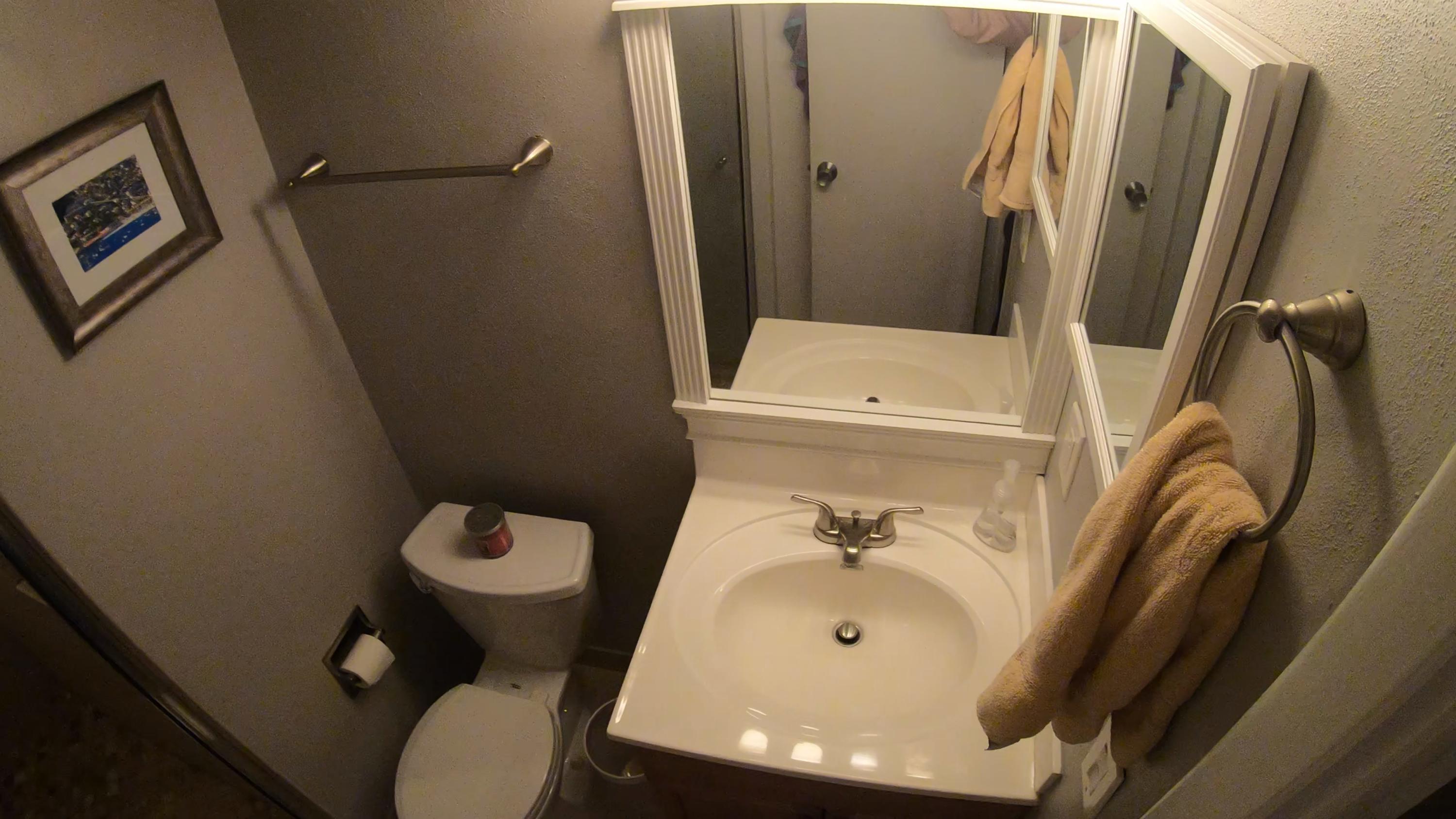 9273 Southwest 8th Street, Unit 312 Boca Raton, FL 33428 - Photo 19 of 57 bathrom vanity 2