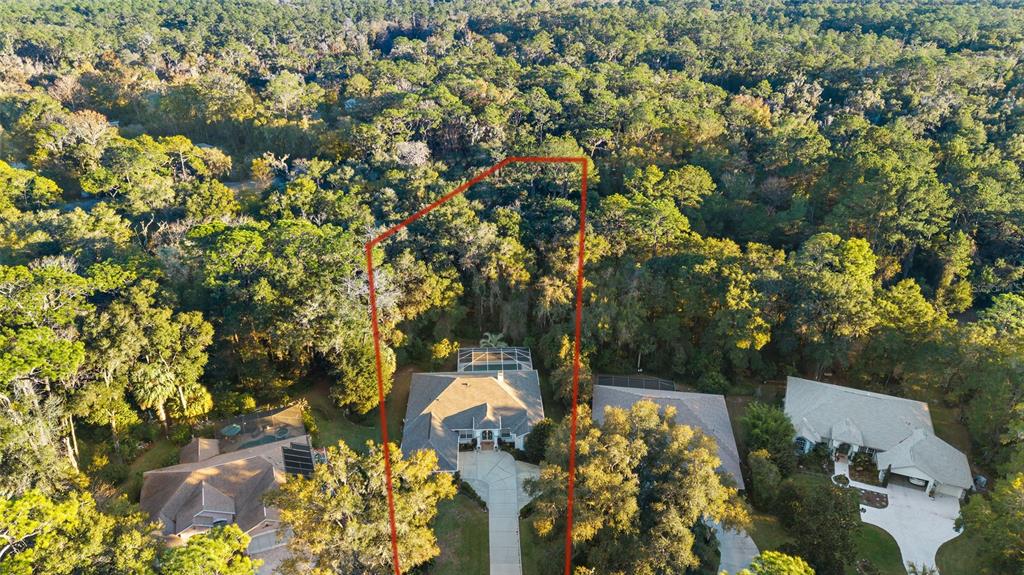 18964 Southwest 93rd Loop Dunnellon, FL 34432 - Photo 1 of 1 an aerial view of a residential houses with yard