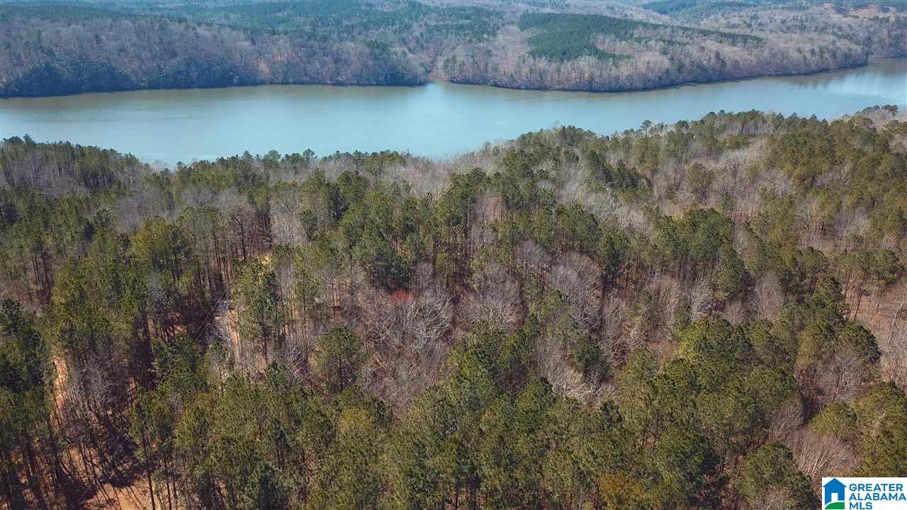 0 Sleepy Hollow Road, Unit 75 Rockford, AL 35136 - Photo 3 of 33