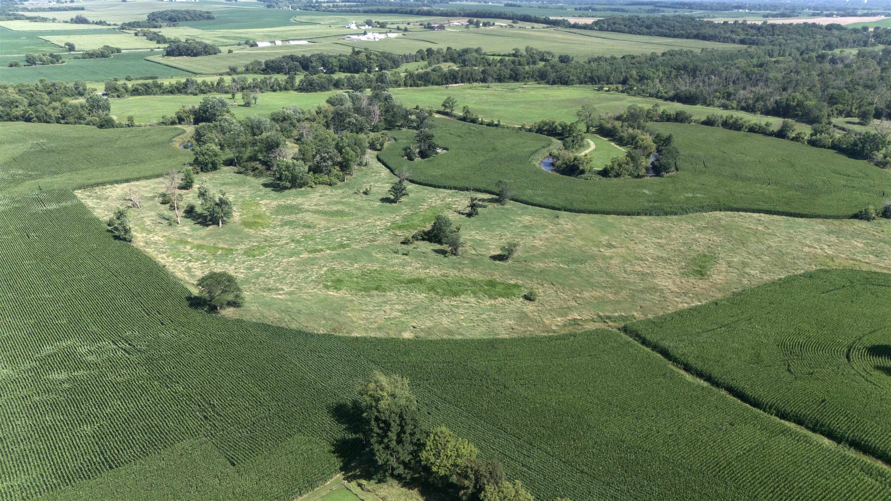 Tbd West Cedarville Road Freeport, IL 61032 - Photo 8 of 11 a view of a lush green field