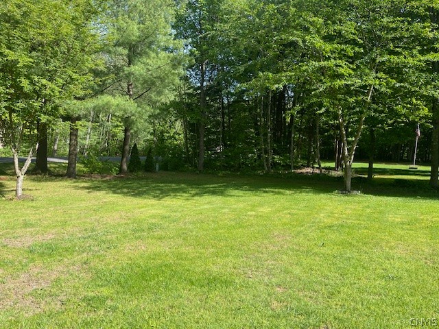19 Jr Avenue Fulton, NY 13069 - Photo 2 of 34