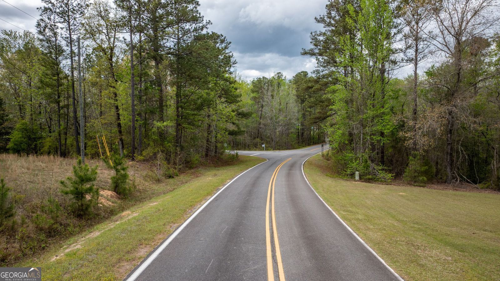 0 Snow Hill Church Road, Unit LOT D11 Gordon, GA 31031 - Photo 13 of 18 a view of a yard with large trees