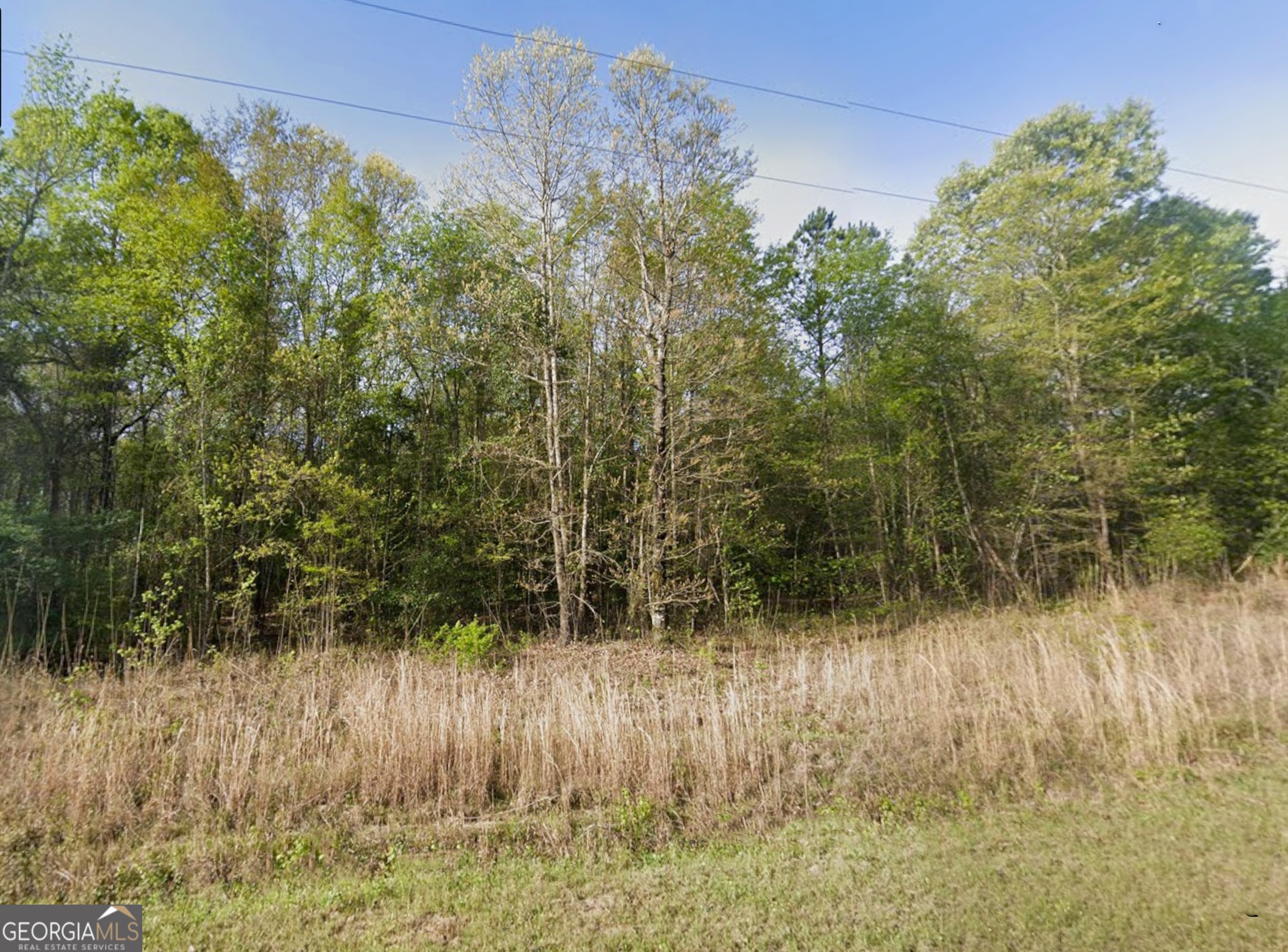 0 Snow Hill Church Road, Unit LOT D11 Gordon, GA 31031 - Photo 2 of 18 a view of a yard