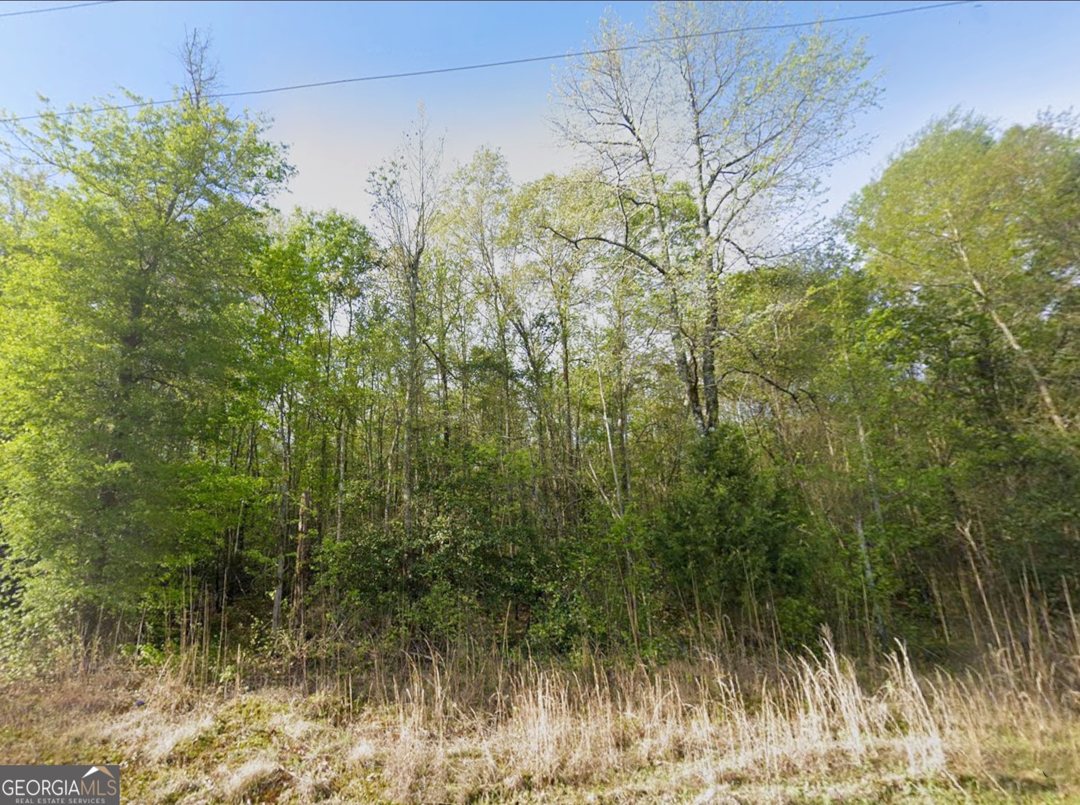 0 Snow Hill Church Road, Unit LOT D11 Gordon, GA 31031 - Photo 3 of 18 a view of a yard