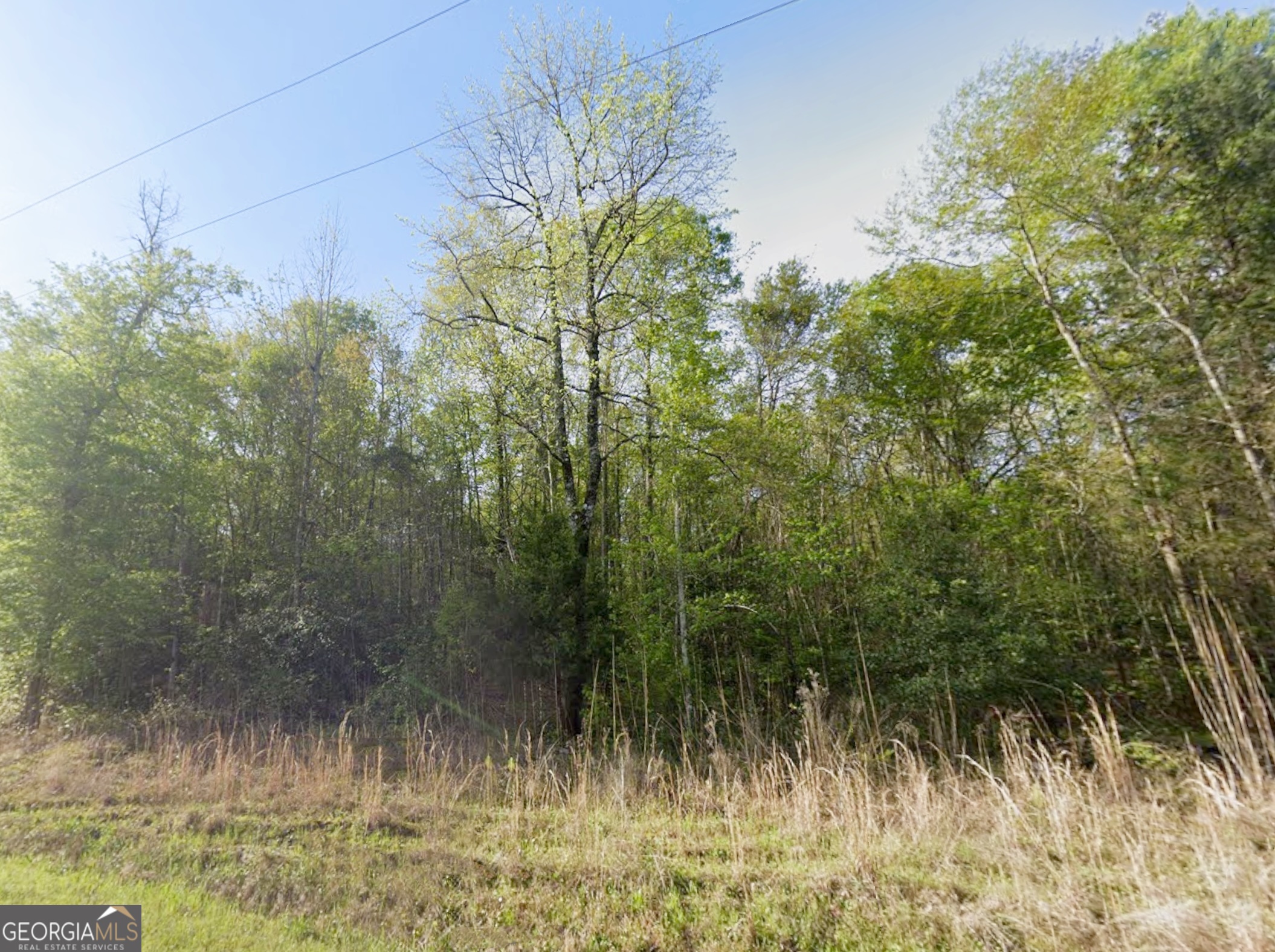 0 Snow Hill Church Road, Unit LOT D11 Gordon, GA 31031 - Photo 4 of 18 a view of a yard