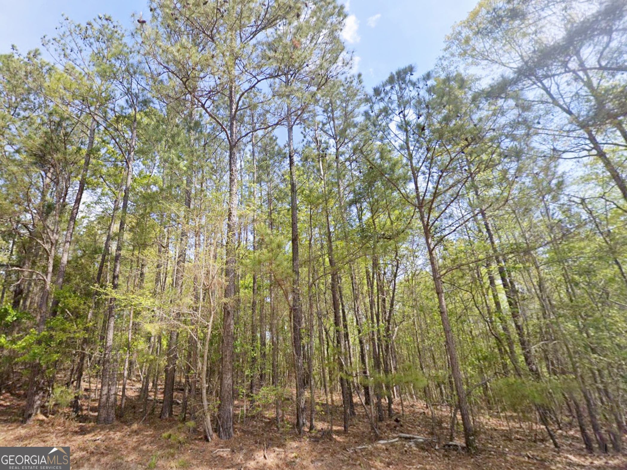0 Snow Hill Church Road, Unit LOT D11 Gordon, GA 31031 - Photo 5 of 18 a view of a yard with large trees