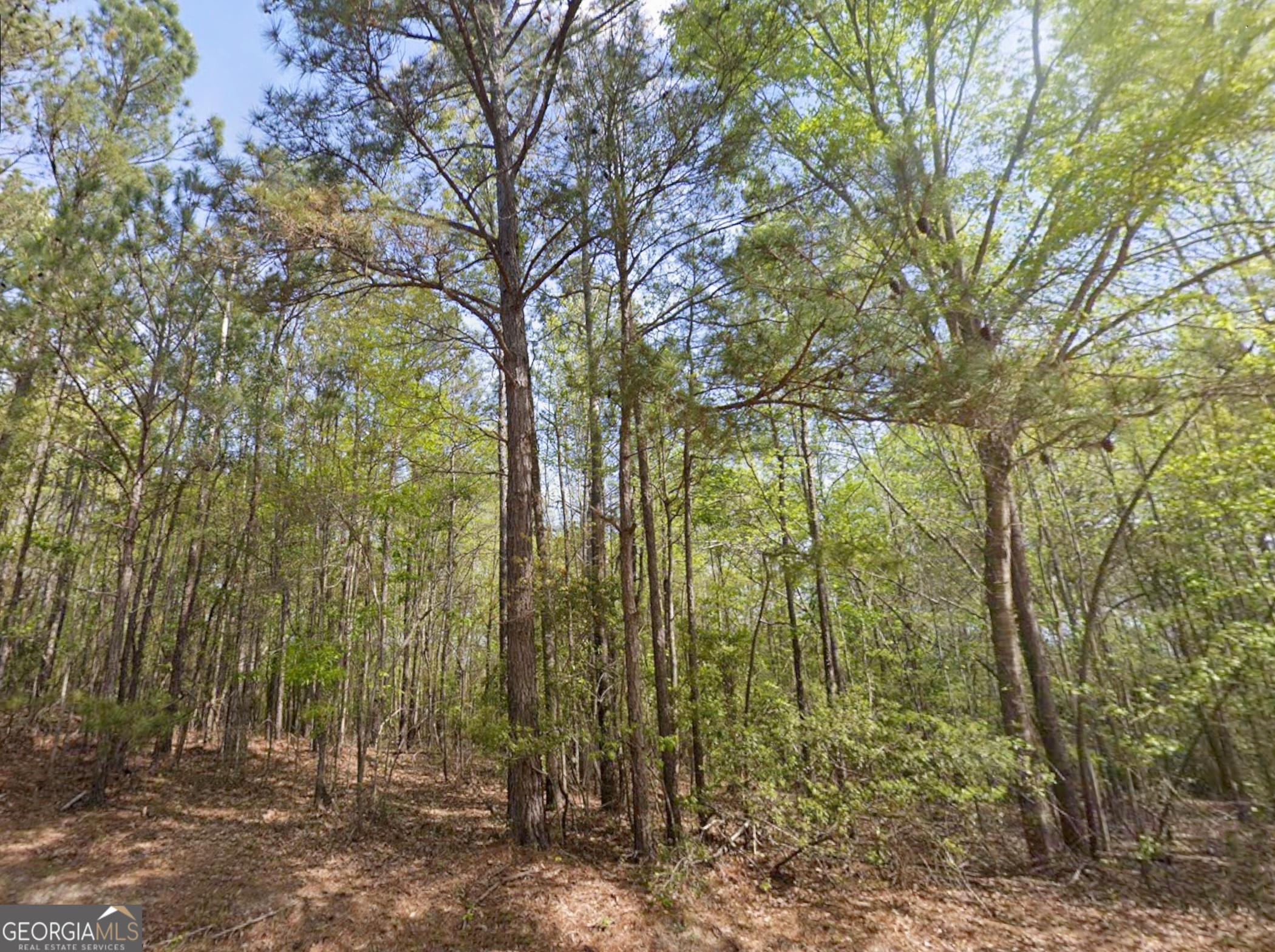 0 Snow Hill Church Road, Unit LOT D11 Gordon, GA 31031 - Photo 6 of 18 a view of forest