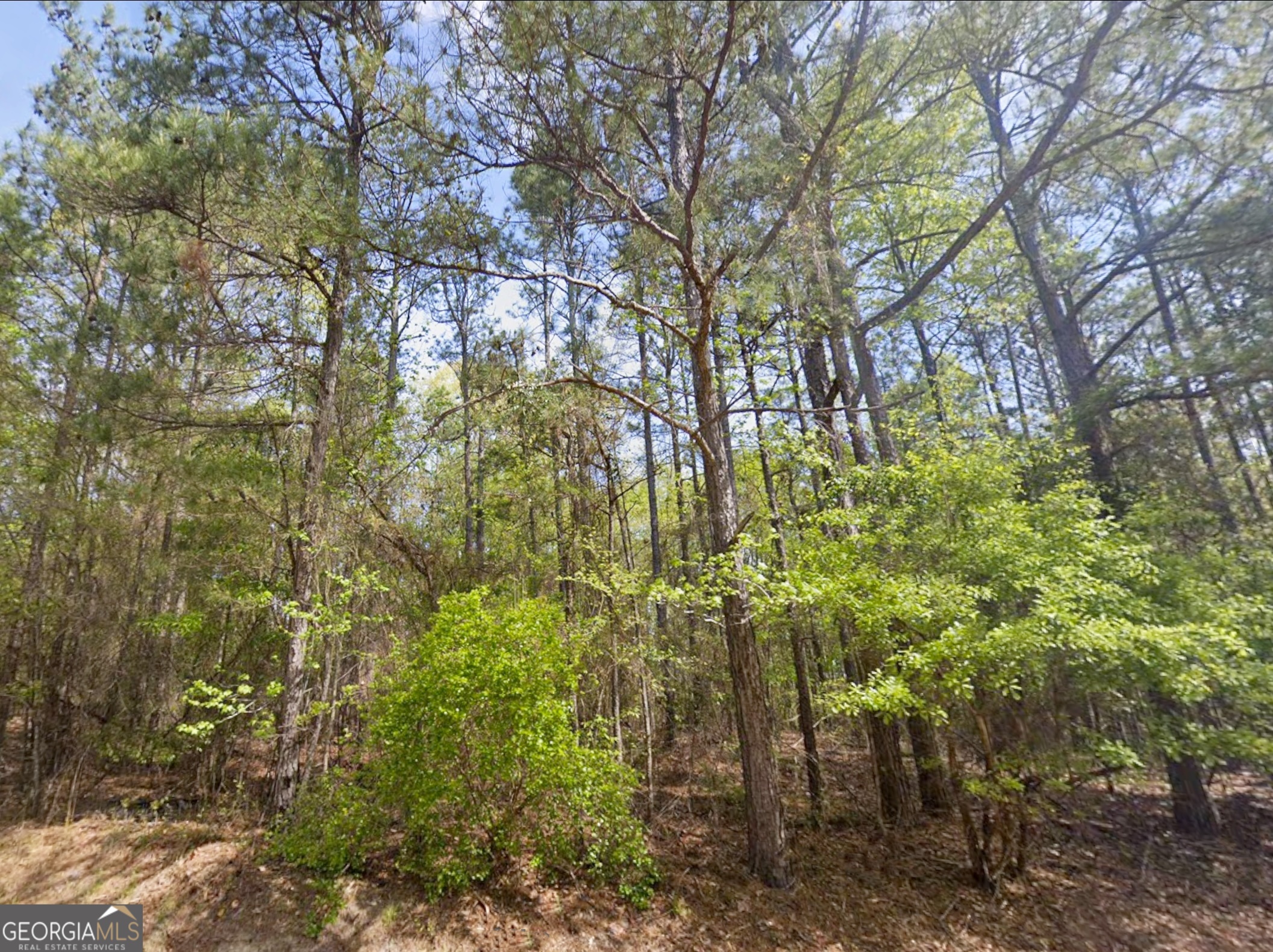 0 Snow Hill Church Road, Unit LOT D11 Gordon, GA 31031 - Photo 8 of 18 a backyard of a building with lots of trees