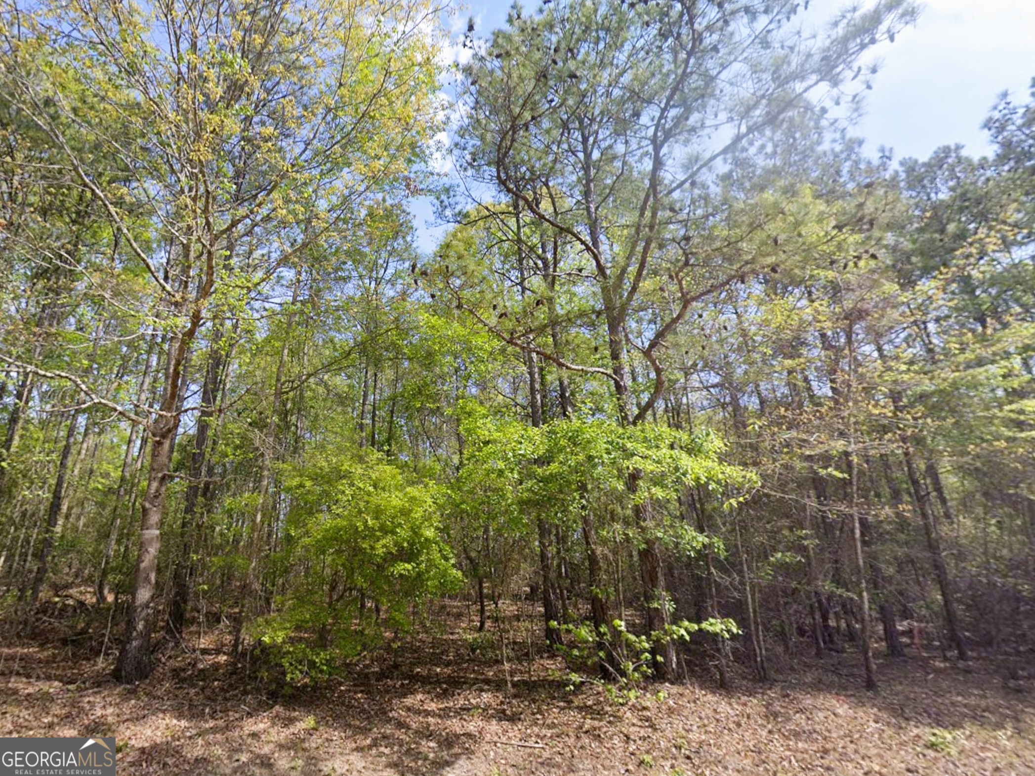 0 Snow Hill Church Road, Unit LOT D11 Gordon, GA 31031 - Photo 9 of 18 a backyard of a house with lots of trees