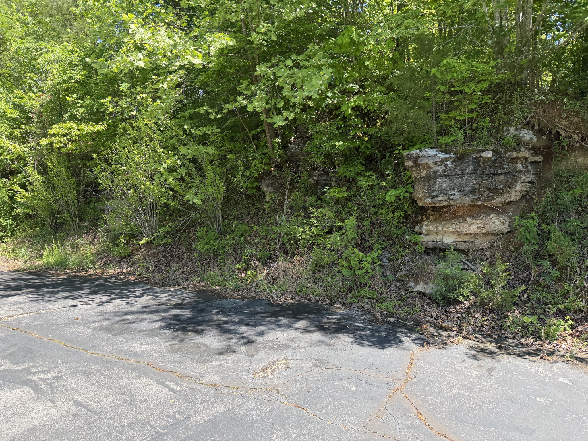 242 Cane Creek Road Hohenwald, TN 38462 - Photo 58 of 78