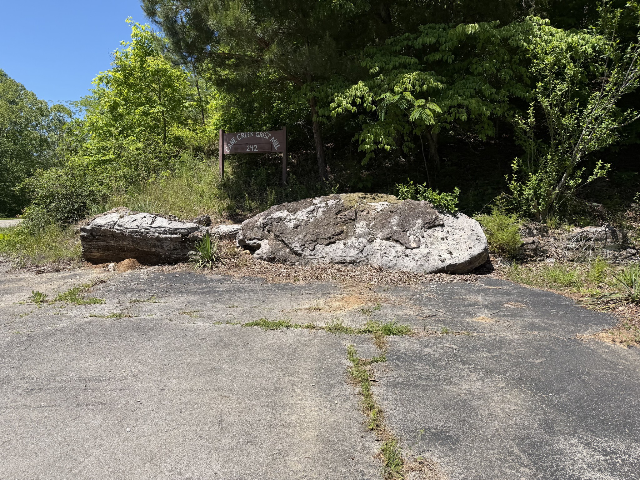 242 Cane Creek Road Hohenwald, TN 38462 - Photo 66 of 78