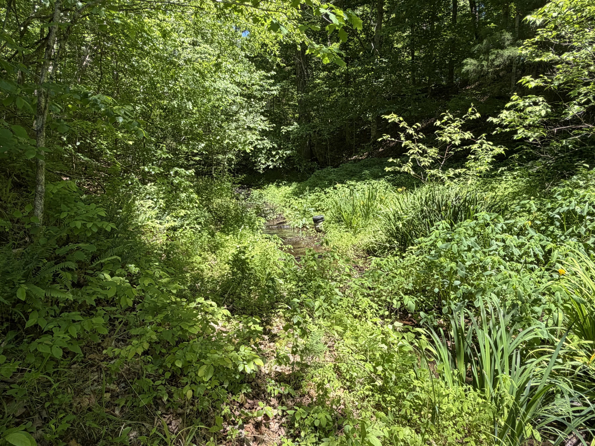 242 Cane Creek Road Hohenwald, TN 38462 - Photo 72 of 78