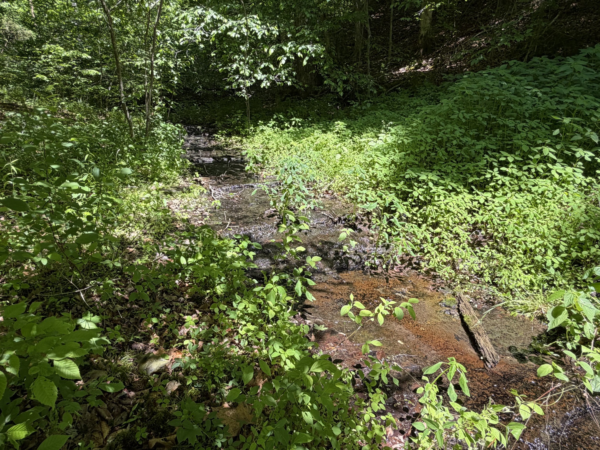 242 Cane Creek Road Hohenwald, TN 38462 - Photo 75 of 78