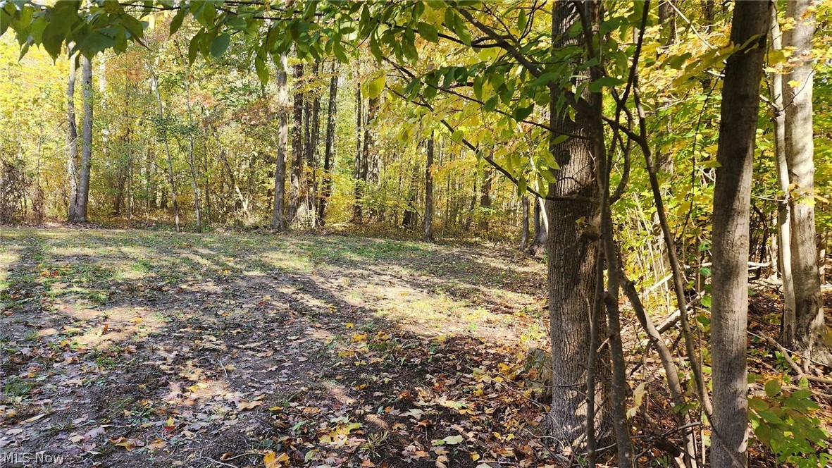 7118 Beckwith Road Pierpont, OH 44082 - Photo 22 of 30 Gallery Image 22