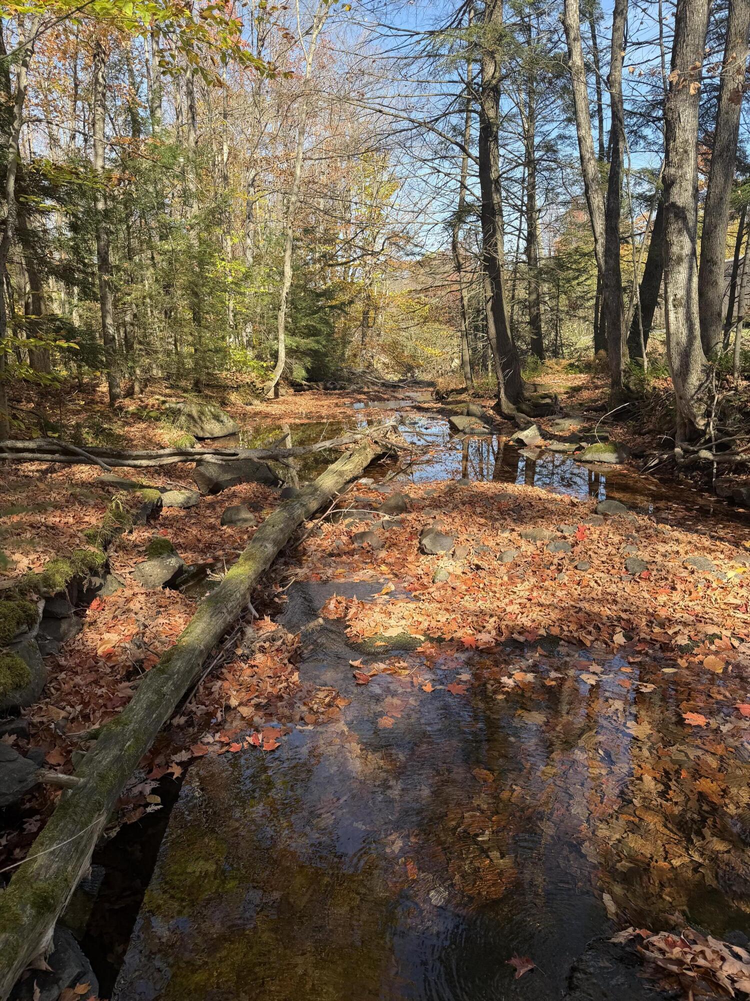 0 Rand Hill Road Morrisonville, NY 12962 - Photo 5 of 10