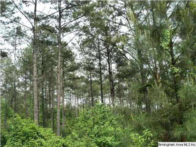 485 County Road, Unit 110 Clanton, AL 35046 - Photo 19 of 22