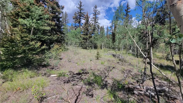 a view of a dry yard with lots of bushes