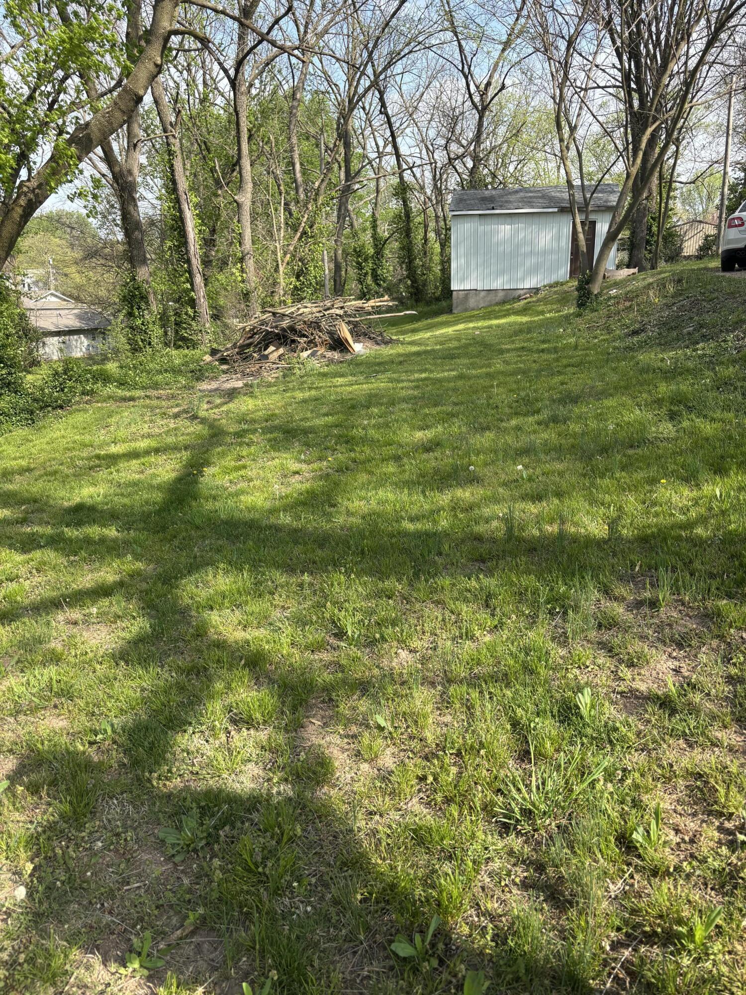 308 West Myrtle Monett, MO 65708 - Photo 4 of 4 IMG_6050