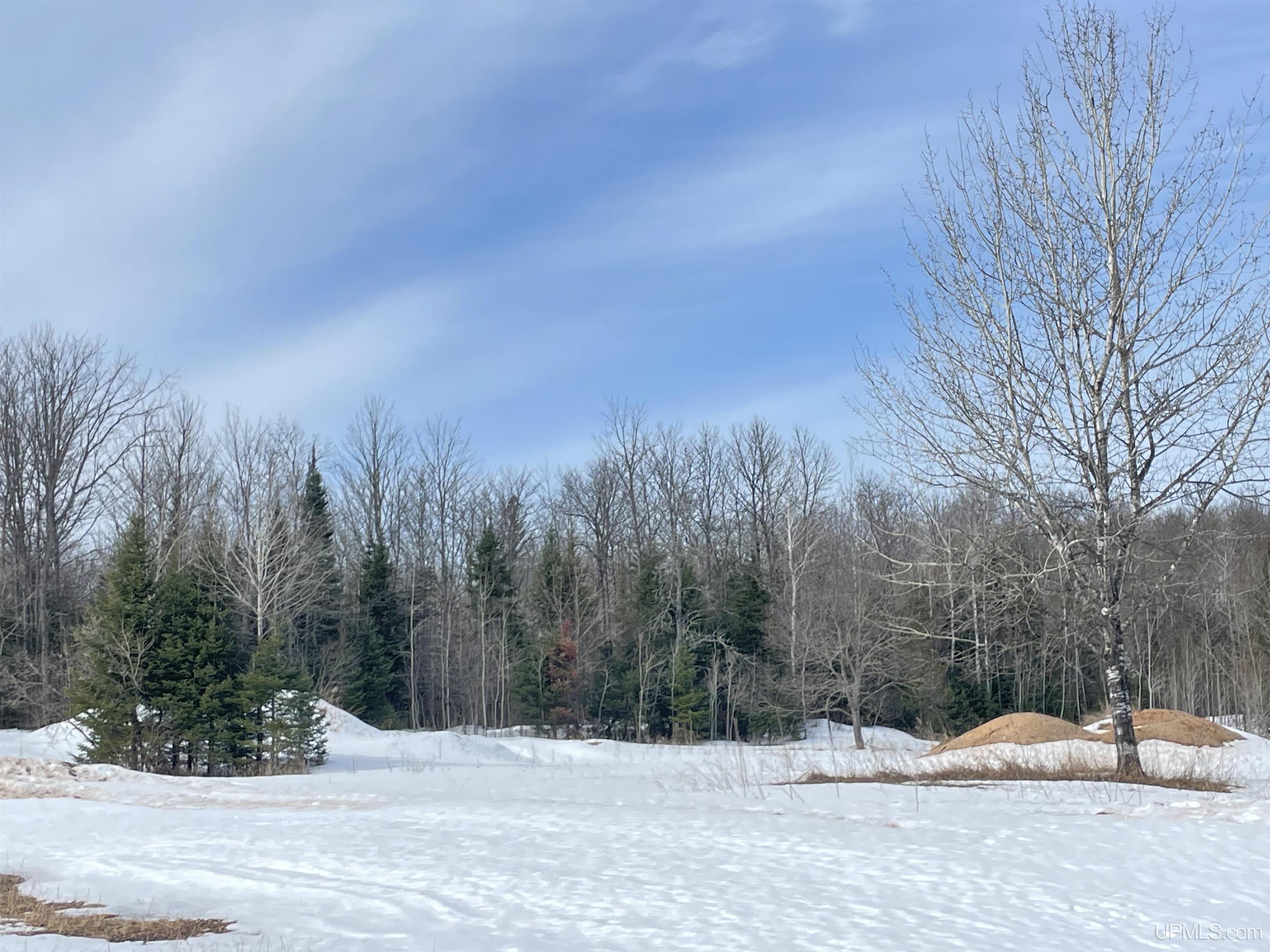 E3985 East 23rd Road Chatham, MI 49816 - Photo 26 of 33