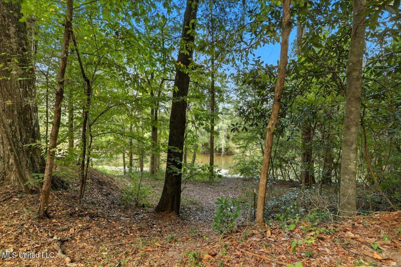 378 Robert Bush Road Pinola, MS 39149 - Photo 16 of 77 15-378 Robert Bush Rd _ Home Tours MS