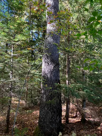 $99,500 | 0 Theresa Lane, Wilmington, VT 05363