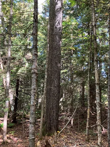 $99,500 | 0 Theresa Lane, Wilmington, VT 05363