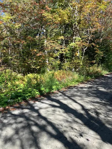 $99,500 | 0 Theresa Lane, Wilmington, VT 05363