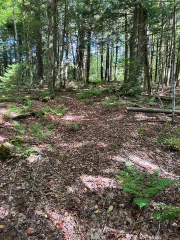 $99,500 | 0 Theresa Lane, Wilmington, VT 05363