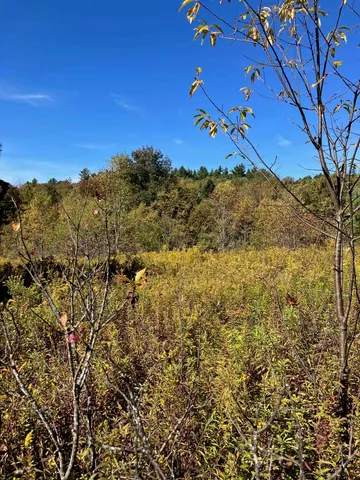 $99,500 | 0 Theresa Lane, Wilmington, VT 05363