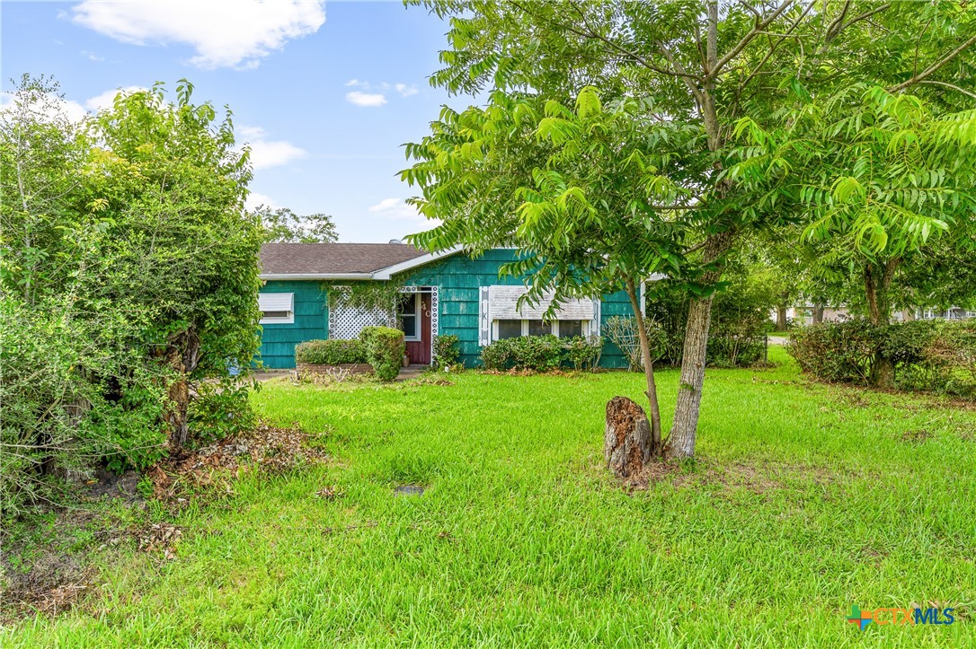401 Kerr Street Edna, TX 77957 - Photo 2 of 23 a view of a house with backyard and a tree