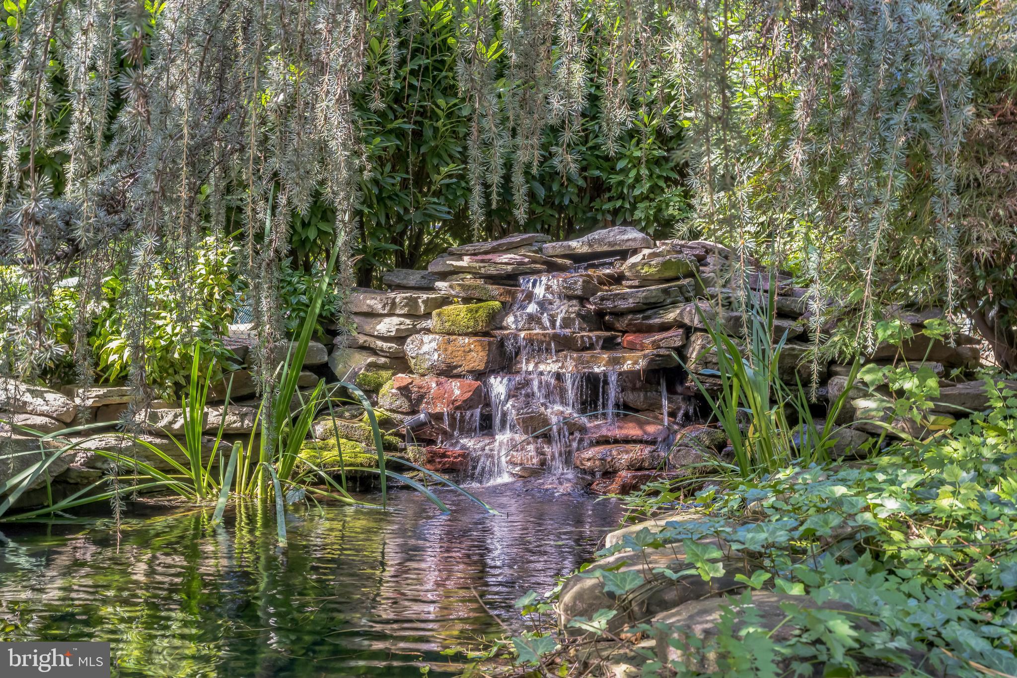 113 Kingston Road Cheltenham, PA 19012 - Photo 11 of 30 Pond with waterfall