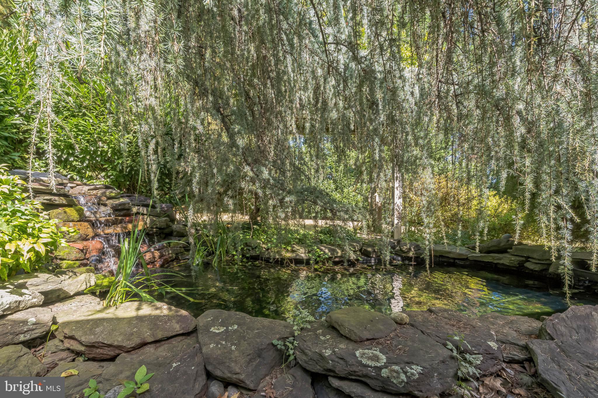 113 Kingston Road Cheltenham, PA 19012 - Photo 13 of 30 Pond with waterfall