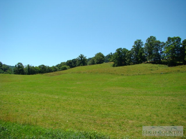 116 Bethel Road Vilas, NC 28692 - Photo 2 of 15 Gallery Image 2