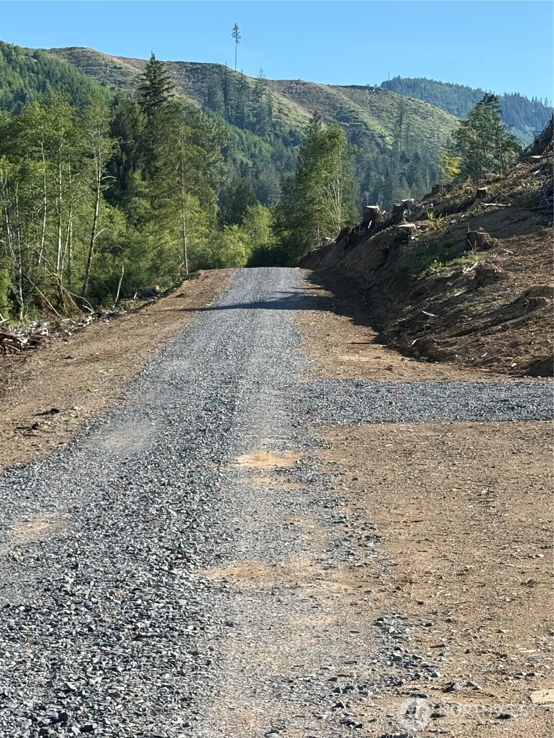 215 Mineral Road North Mineral, WA 98355 - Photo 9 of 29