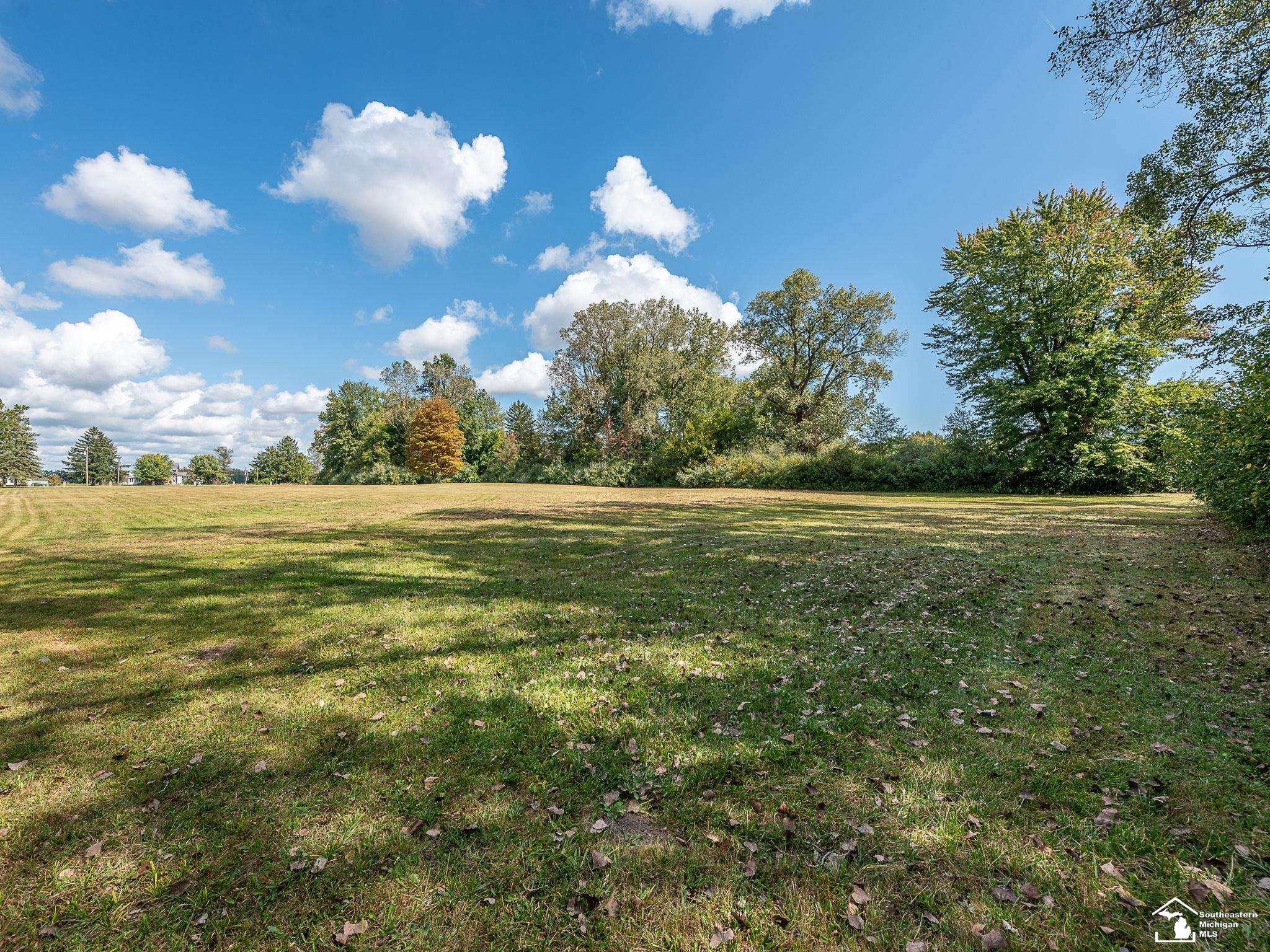 0 Blue Bush Road Monroe, MI 48162 - Photo 4 of 15