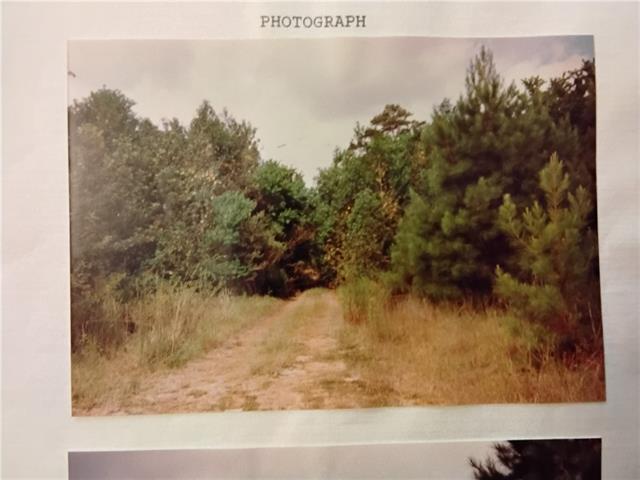 46301 Randall Road Hammond, LA 70401 - Photo 4 of 8