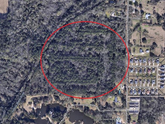 46301 Randall Road Hammond, LA 70401 - Photo 5 of 8